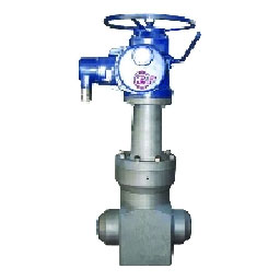 Forging Overall Gate Valve