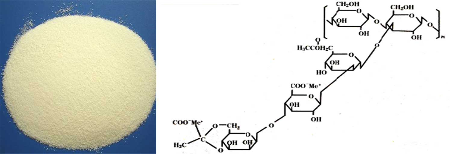 Xanthan Gum  Oilfield