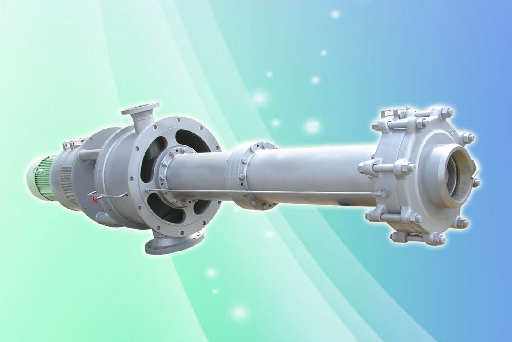 Vertical Can Pumps (API 610 VS6)