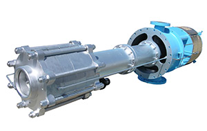 Thumbnail: Vertical Sump Pumps