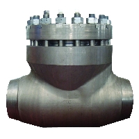 Forged check valves