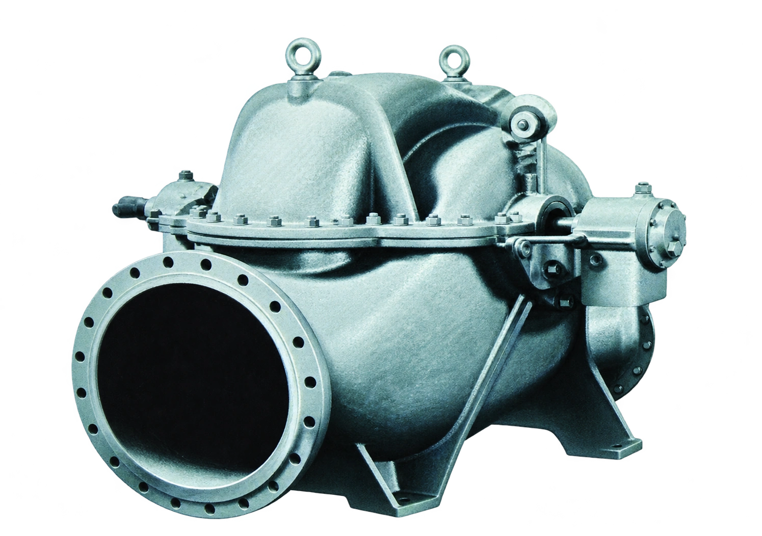 BB1 double-suction pump from the existing catalog.