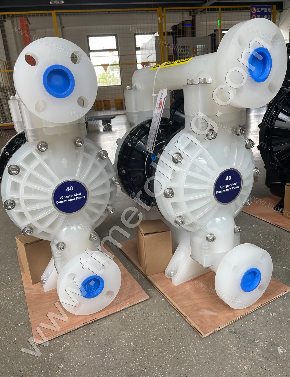 Diaphragm Pumps & Parts Compatible with Graco  02