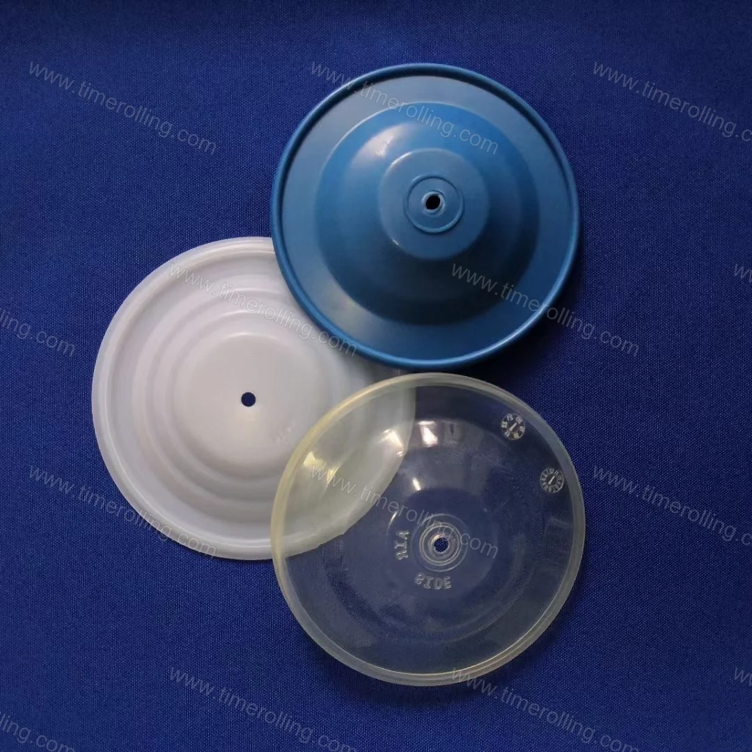 Diaphragm Pumps & Parts Compatible with Graco  06