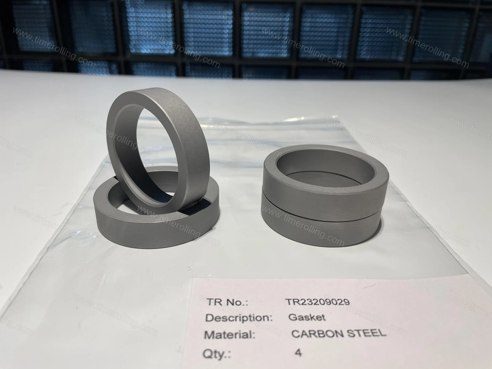 SULZER GSG CP Gaskets 01
