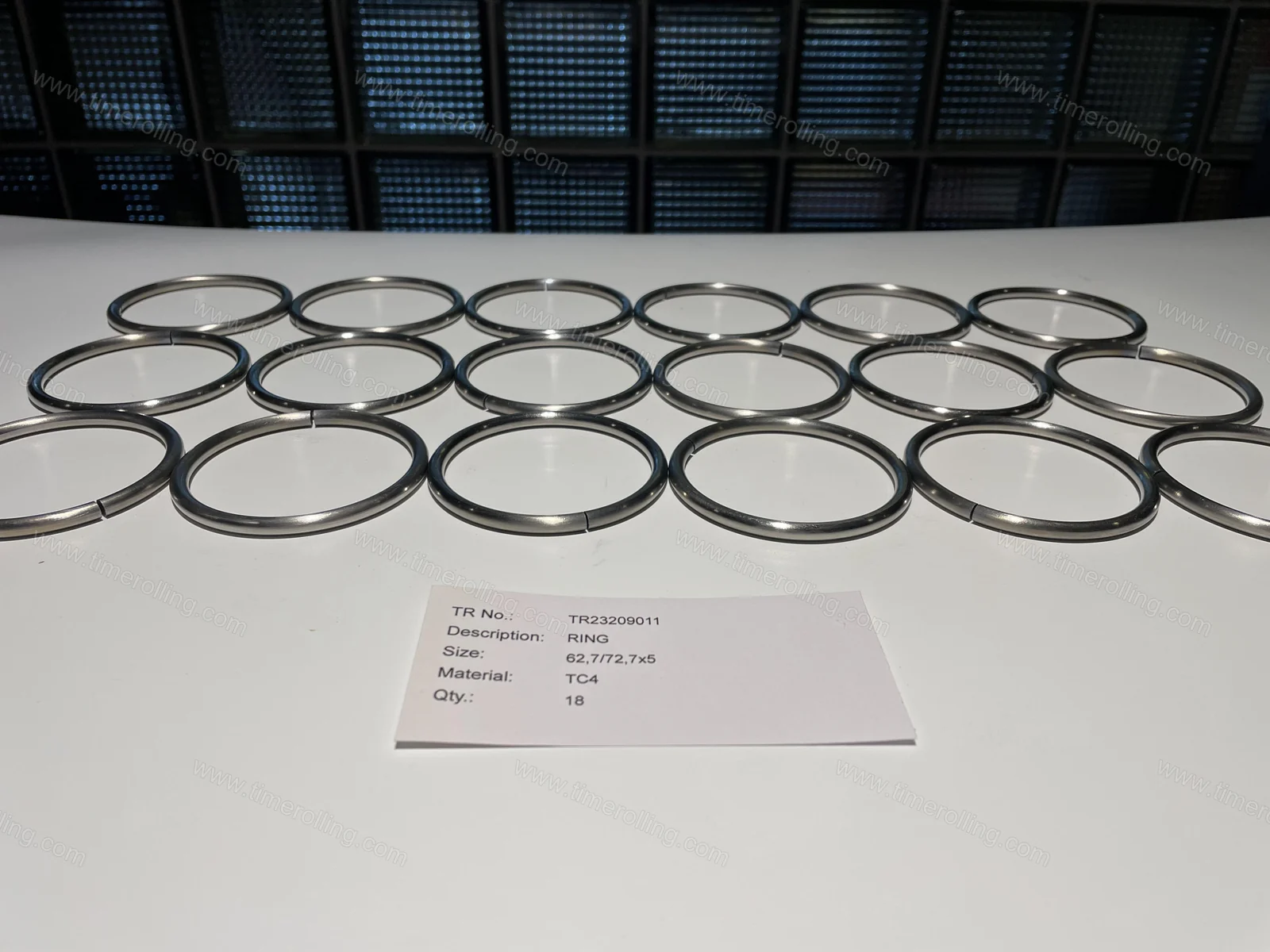 SULZER GSG CP  Ring 02
