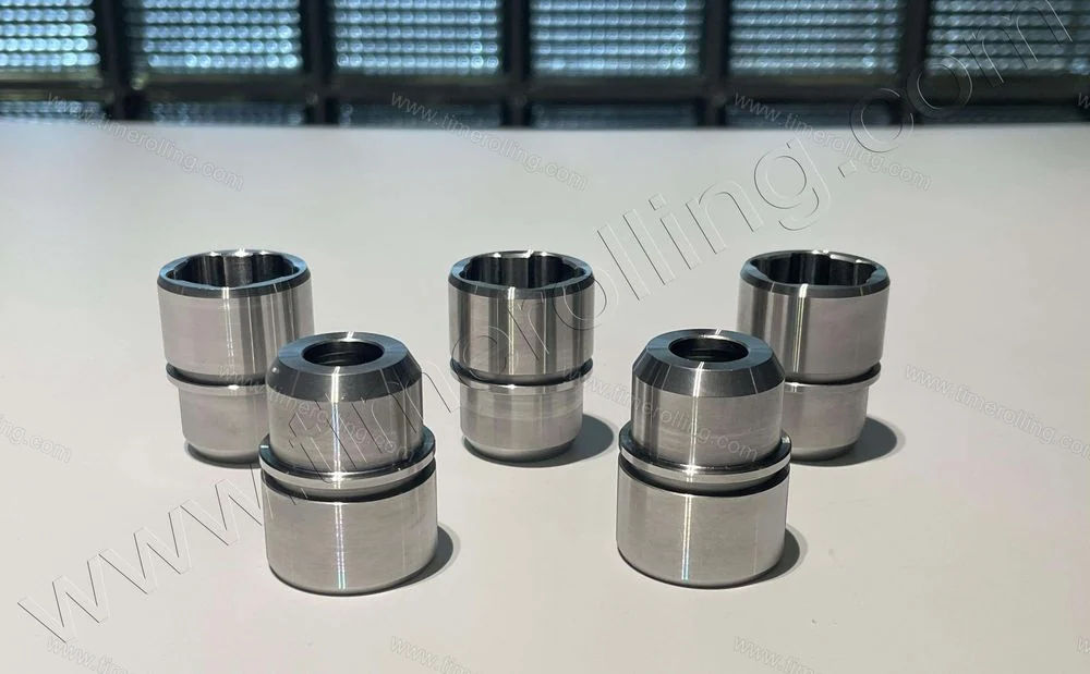 Replacement LEWA Metering Pump Parts 21